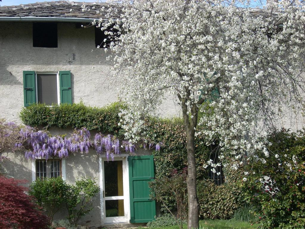 B&B L'Isola Piantedo Exteriér fotografie